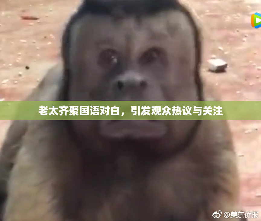 老太齐聚国语对白，引发观众热议与关注