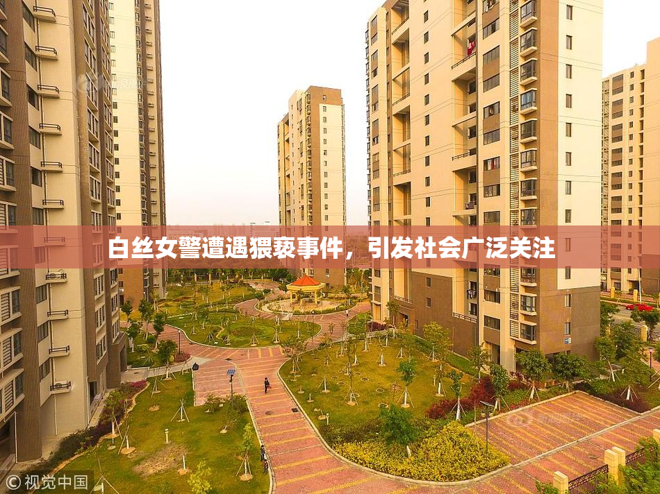 白丝女警遭遇猥亵事件，引发社会广泛关注