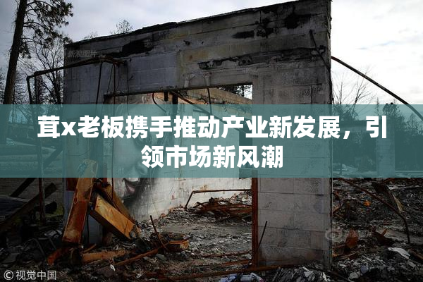 茸x老板携手推动产业新发展，引领市场新风潮