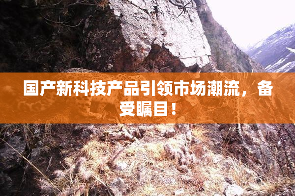 国产新科技产品引领市场潮流，备受瞩目！