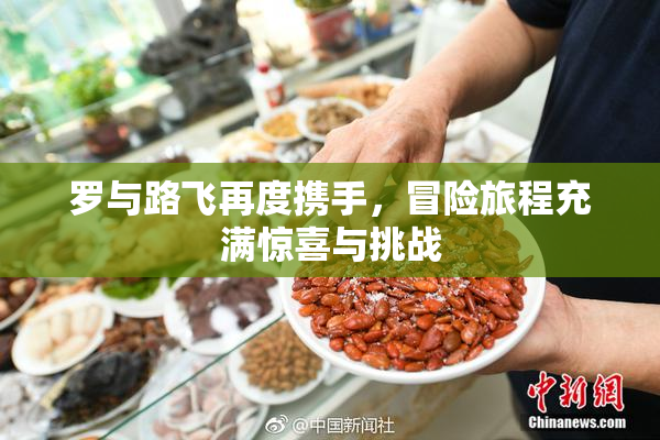 罗与路飞再度携手，冒险旅程充满惊喜与挑战