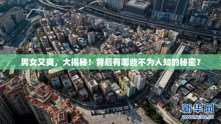 男女又爽，大揭秘！背后有哪些不为人知的秘密？