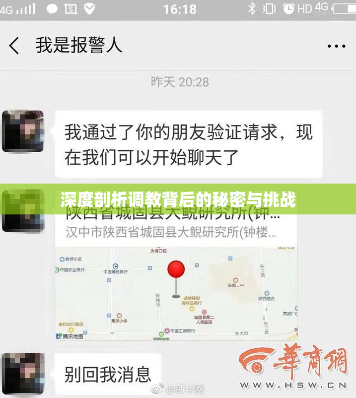 深度剖析调教背后的秘密与挑战