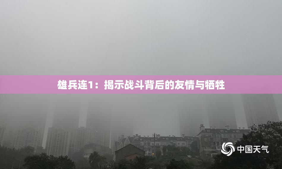 雄兵连1：揭示战斗背后的友情与牺牲