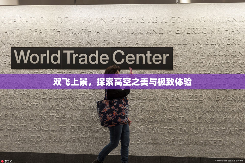 双飞上景，探索高空之美与极致体验