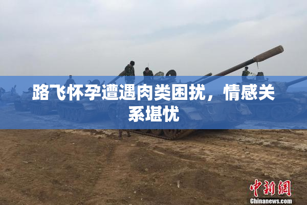 路飞怀孕遭遇肉类困扰，情感关系堪忧