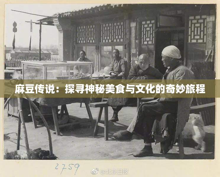 麻豆传说：探寻神秘美食与文化的奇妙旅程