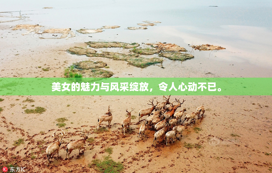 美女的魅力与风采绽放，令人心动不已。