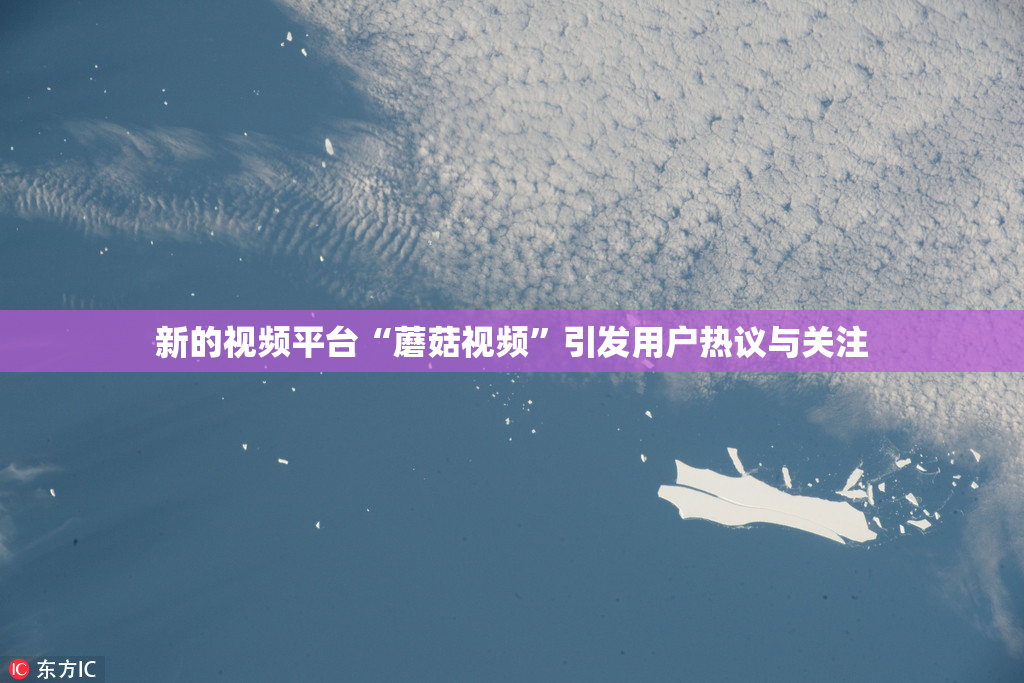 新的视频平台“蘑菇视频”引发用户热议与关注