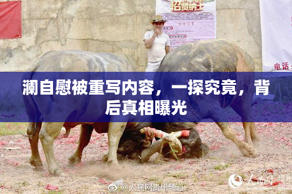澜自慰被重写内容，一探究竟，背后真相曝光