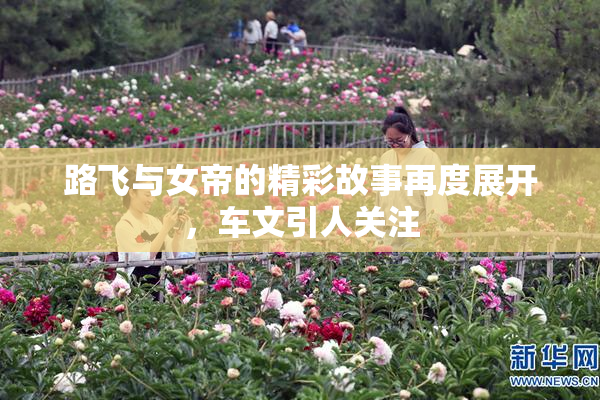 路飞与女帝的精彩故事再度展开，车文引人关注