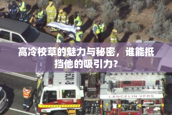 高冷校草的魅力与秘密，谁能抵挡他的吸引力？