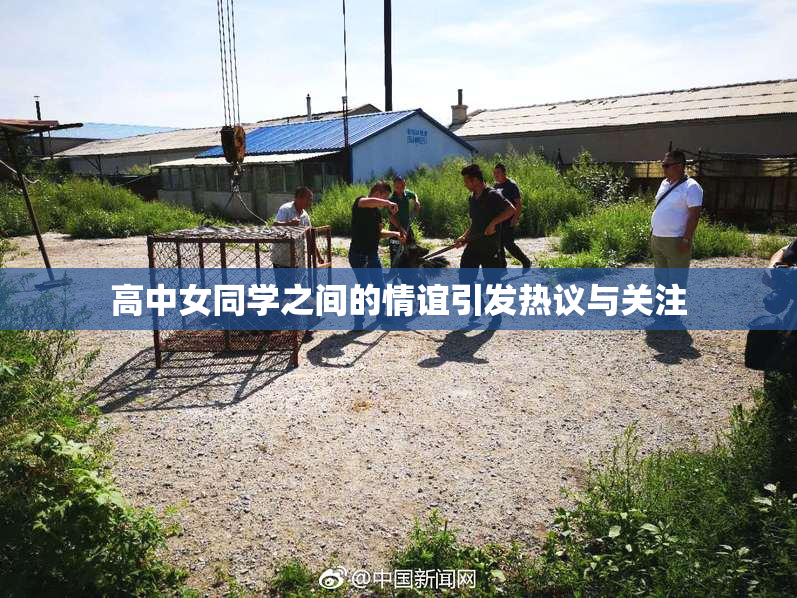 高中女同学之间的情谊引发热议与关注