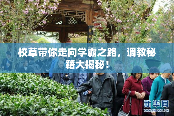 校草带你走向学霸之路，调教秘籍大揭秘！