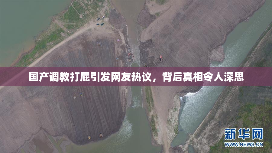 国产调教打屁引发网友热议，背后真相令人深思