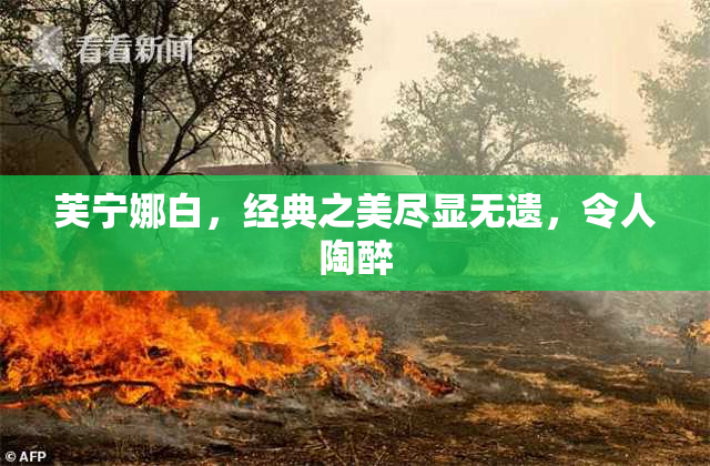 芙宁娜白，经典之美尽显无遗，令人陶醉