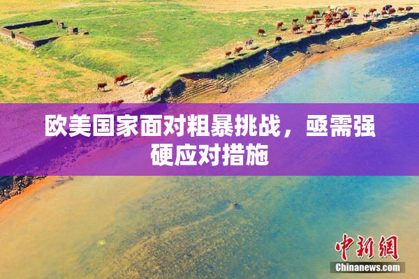 欧美国家面对粗暴挑战，亟需强硬应对措施
