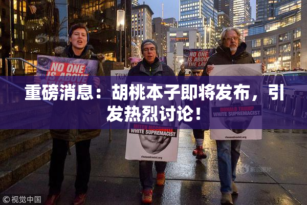 重磅消息：胡桃本子即将发布，引发热烈讨论！