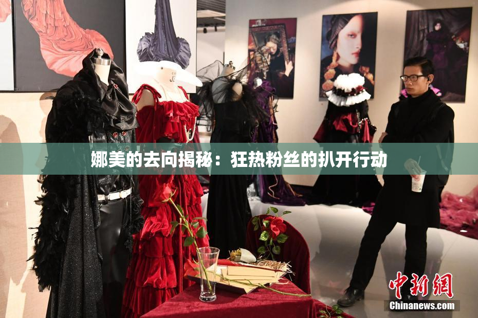 娜美的去向揭秘：狂热粉丝的扒开行动