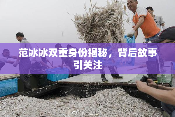 范冰冰双重身份揭秘，背后故事引关注