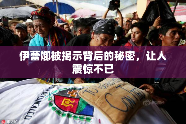 伊蕾娜被揭示背后的秘密，让人震惊不已