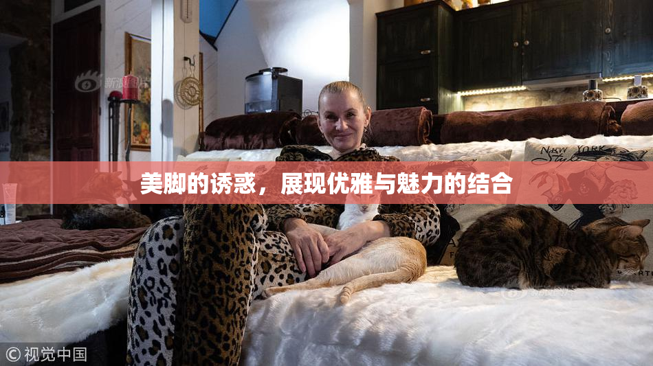 美脚的诱惑，展现优雅与魅力的结合