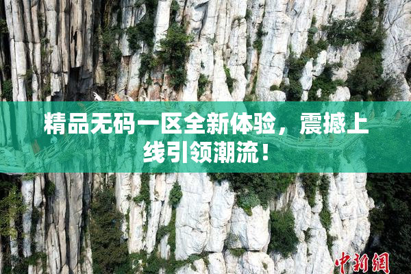 精品无码一区全新体验，震撼上线引领潮流！