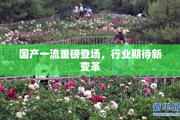 国产一流重磅登场，行业期待新变革