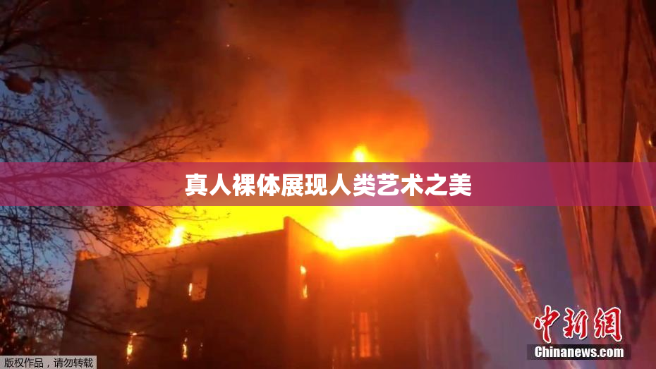 真人裸体展现人类艺术之美