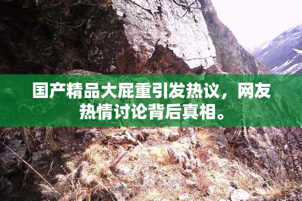 国产精品大屁重引发热议，网友热情讨论背后真相。