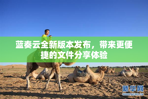 蓝奏云全新版本发布，带来更便捷的文件分享体验
