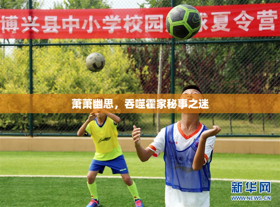 萧萧幽思，吞噬霍家秘事之迷