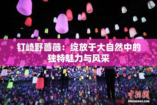 钉崎野蔷薇：绽放于大自然中的独特魅力与风采