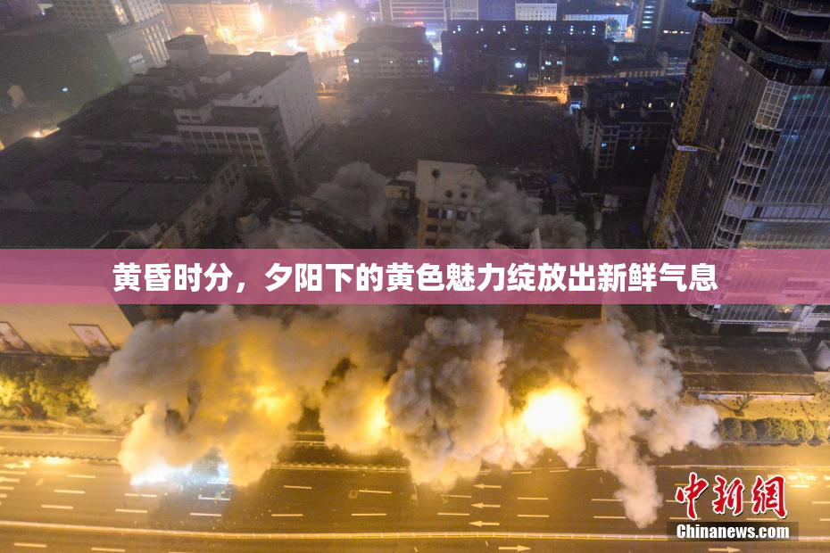黄昏时分，夕阳下的黄色魅力绽放出新鲜气息