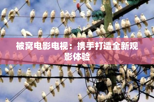 被窝电影电视：携手打造全新观影体验