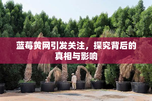 蓝莓黄网引发关注，探究背后的真相与影响