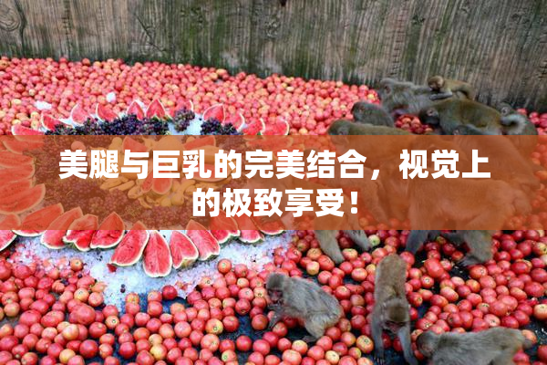 美腿与巨乳的完美结合，视觉上的极致享受！