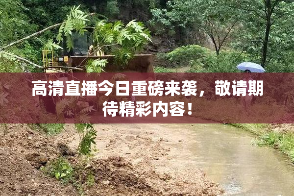 高清直播今日重磅来袭，敬请期待精彩内容！
