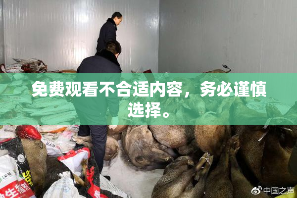 免费观看不合适内容，务必谨慎选择。