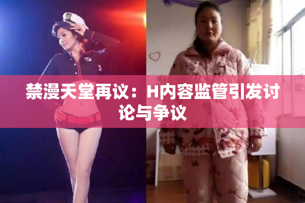 禁漫天堂再议：H内容监管引发讨论与争议