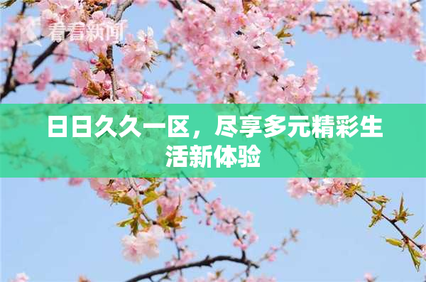 日日久久一区，尽享多元精彩生活新体验