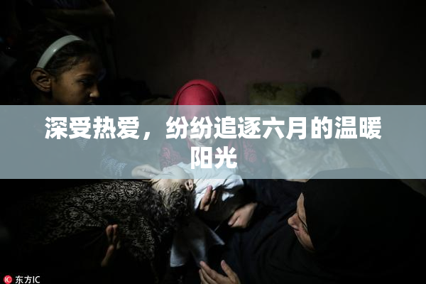 深受热爱，纷纷追逐六月的温暖阳光