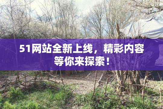 51网站全新上线，精彩内容等你来探索！