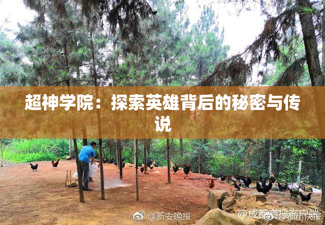 超神学院：探索英雄背后的秘密与传说
