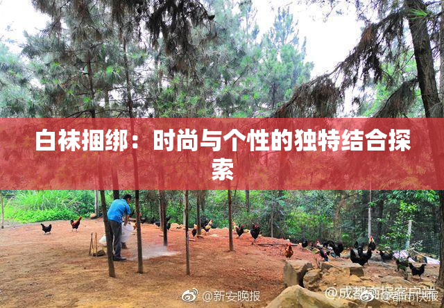 白袜捆绑：时尚与个性的独特结合探索
