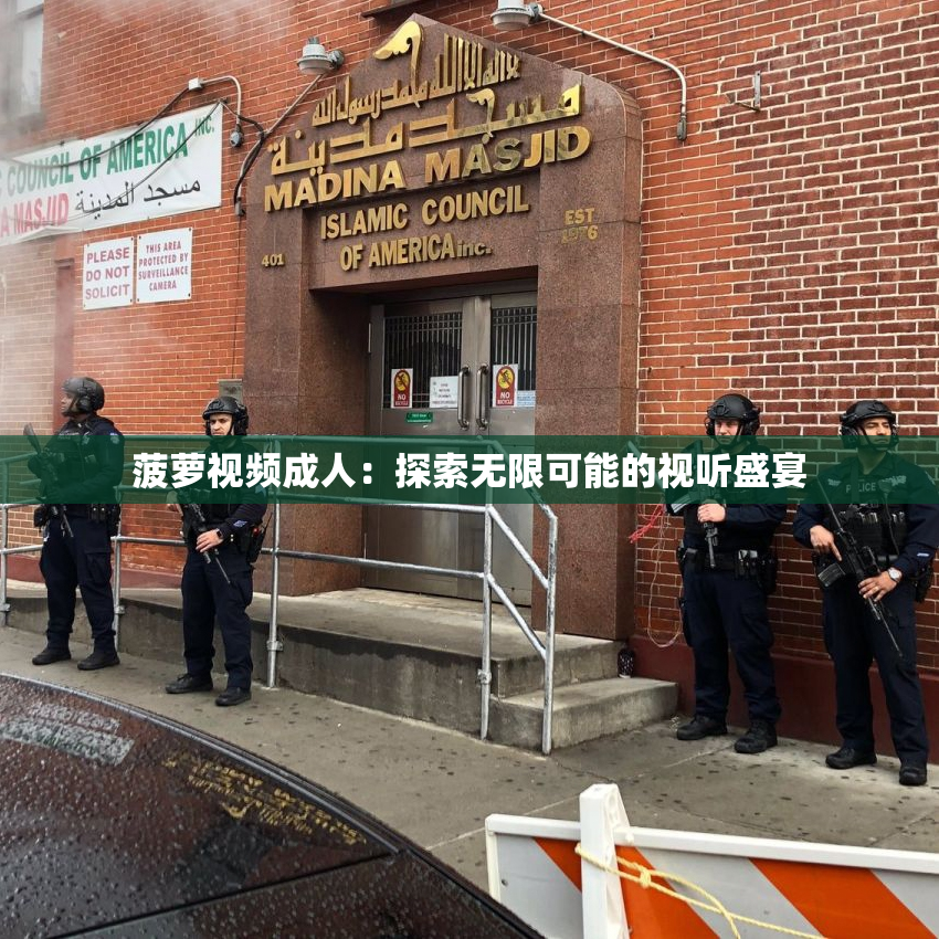 菠萝视频成人：探索无限可能的视听盛宴