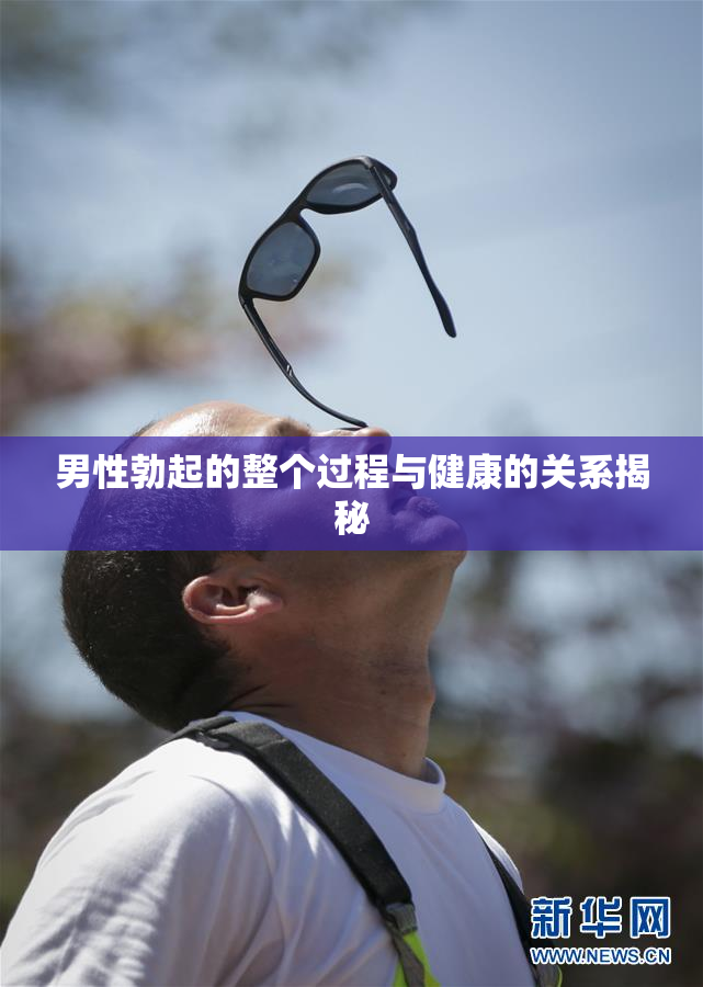 男性勃起的整个过程与健康的关系揭秘