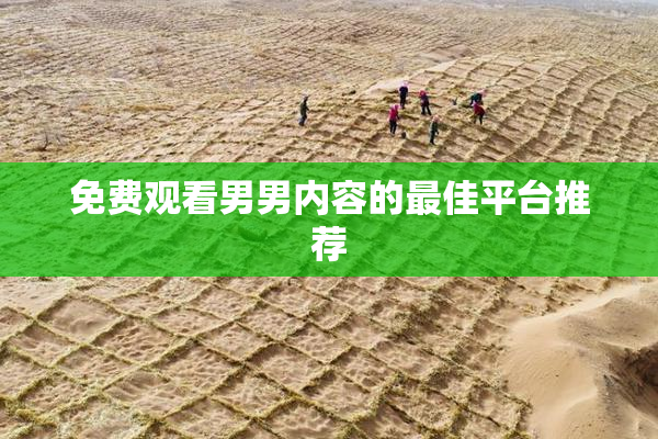 免费观看男男内容的最佳平台推荐