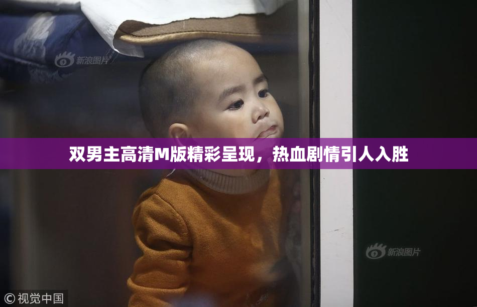 双男主高清M版精彩呈现，热血剧情引人入胜