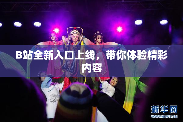 B站全新入口上线，带你体验精彩内容